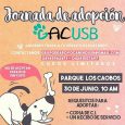 El Grupo de Apoyo Canino (GAC USB) realizará el sábado 30 de junio una jornada de adopción de los perros que están bajo cuidado de la agrupación luego de ser […]