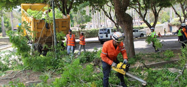 Atendiendo las necesidades urgentes en infraestructura y servicios, el plan Universidad Bella avanza en su primera etapa en la Universidad Simón Bolívar con algunos resultados, especialmente en el desmalezamiento, limpieza […]
