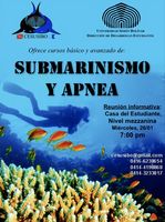 Cesusibo informará sobre cursos de submarinismo y apnea
