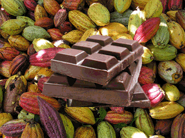El 2do y 3er Tour de la USB por las haciendas de cacao desde Paria hasta Barlovento