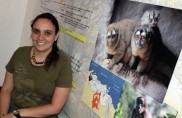 Avances del estudio de los mamíferos en Descubre a la Simón