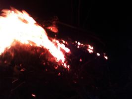 Guardabosques extinguen fuego propagado en sector Planta de gas