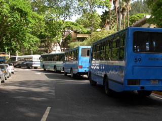 Servicio de transporte afectado por congestión de accesos a la ciudad