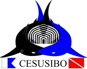 cesusibo1
