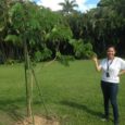 El pasado 3 de noviembre fue sembrado un descendiente del Samán de Güere, árbol que forma parte de la historia de Venezuela por haber sido el punto visitado por el […]