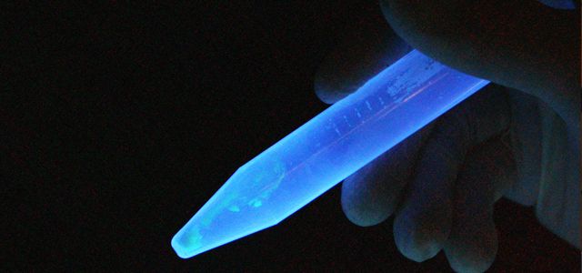 Experimentan técnicas para uso de compuestos fluorescentes con potencial aplicación biomédica