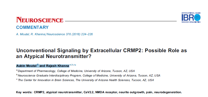Comentario al artículo Extracellular application of CRMP2 increases cytoplasmic calcium through NMDA receptors