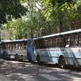 El lunes pasado, 2 de abril, fue publicada por este medio una información titulada En riesgo servicio de transporte estudiantil y de personal de la USB, con un desacierto en […]