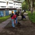 La Dirección de Planta Física (DPF) y el grupo de voluntarios Una mano por la USB continuarán esta semana las jornadas de limpieza de caminerías y jardines en la sede […]
